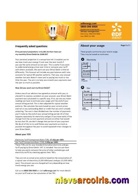 United Kingdom EDF business utility bill, 3 pages 3